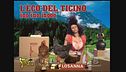 Il ritorno di losanna