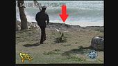 Un carabiniere spara a un cane