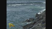 Inquinamento marino
