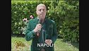 Il gioco dei tre campanelli