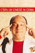 C'era un cinese in coma