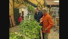 Episodio 15 - Spartaco la rivolta degli schiavi