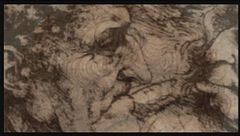 Il sogno di Leonardo