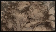 Il sogno di Leonardo
