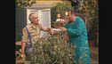 Episodio 11 - Trappola per topo