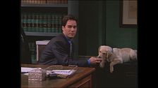 Ep. 9 - La verità su Will e i cani