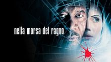 Nella morsa del ragno
