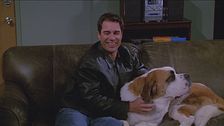 Ep. 18 - Vita da... cani