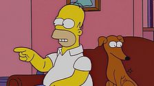 S14E19 - Un cane-coniglio in famiglia