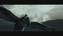 Harry Potter e Fierobecco: un volo speciale