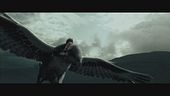Harry Potter e Fierobecco: un volo speciale