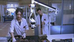 Episodio 12 - Sfida finale