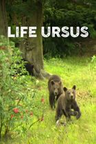Life ursus