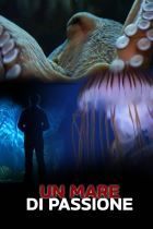 Un mare di passione