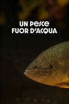 Un pesce fuor d'acqua