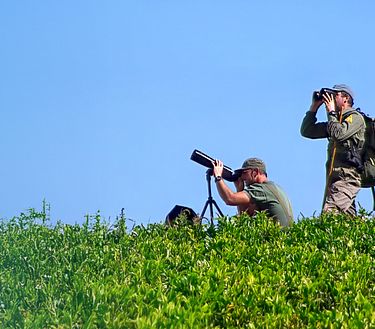 Gli ecocacciatori