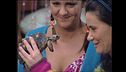 Ep. 8 - Pet teraphy