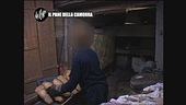 PELAZZA: Il pane della camorra