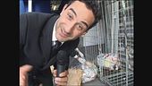 VIVIANI: Raccolta differenziata