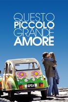 Questo piccolo grande amore