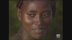 Madagascar - Calabria