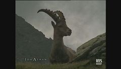 Valle D'Aosta - Trentino