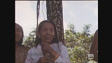 Helena de los indios