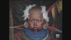 Costa D'avorio - Amazzonia