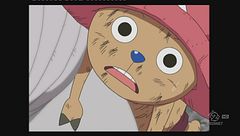 Un amico venuto dal mare