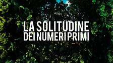 La solitudine dei numeri primi