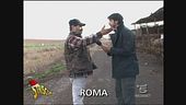 In aiuto dei maiali
