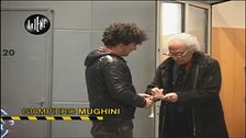 BUGS: Mortacci Tua
