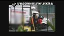 CASCIARI: Il vaccino dell'influenza A