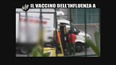 CASCIARI: Il vaccino dell'influenza A