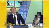 Il cagnolino Willy