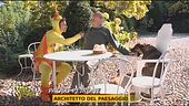 Il punteruolo rosso