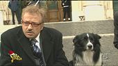 Moti studenteschi