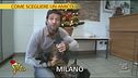 Per chi desidera un cane