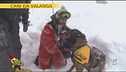 Cani da valanga