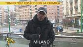 Tonno rosso importato