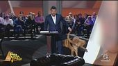 Ospite a 4 zampe