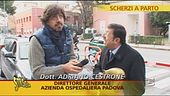 Tapiro al direttore generale dell'Ospedale di Padova