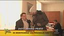 Inquinamento boschivo