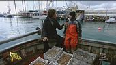 Occhio allo spreco e la pesca sostenibile al femminile