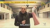 Tonno rosso trattato