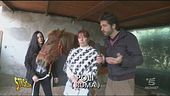 Cavallo prigioniero