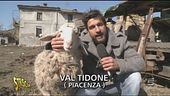 Uno spaccato d'Italia