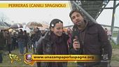 Reportage sui canili spagnoli (parte terza)