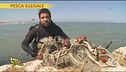 Pesca illegale
