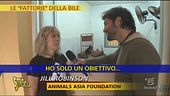Orsi della luna